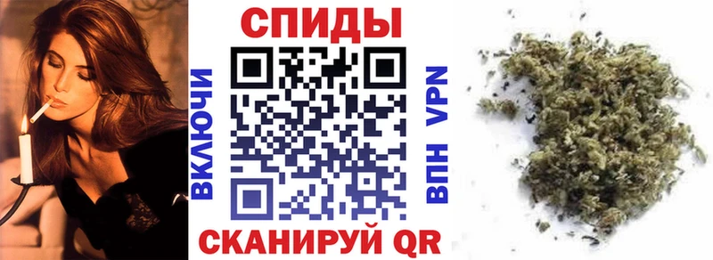 закладка  Суздаль  Бутират Butirat 