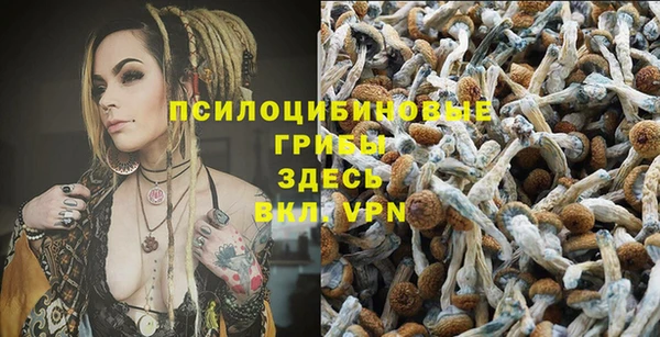 ALPHA PVP Абдулино