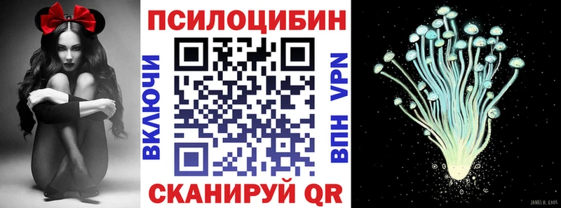 Псилоцибиновые грибы Psilocybe  наркошоп  Суздаль 