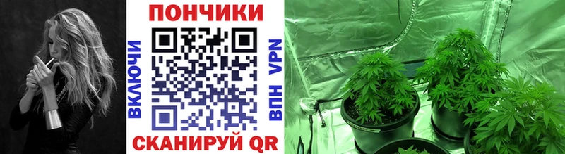 Канабис SATIVA & INDICA  сайты даркнета Telegram  Суздаль 